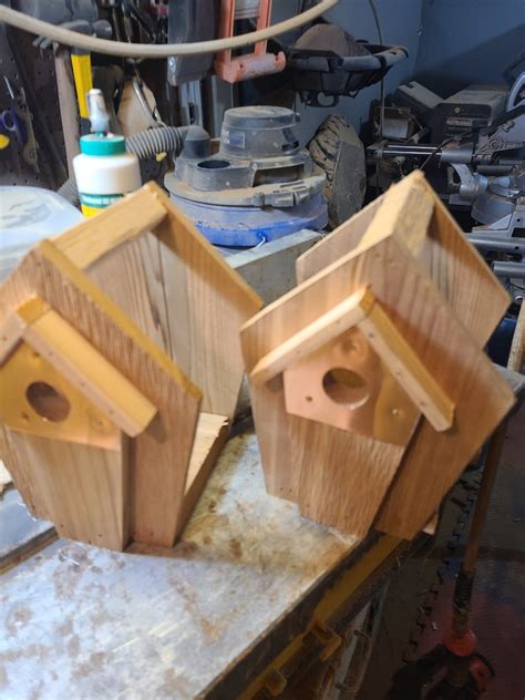 How To Build A Wren House Cedar Wren House Bird House Wren Bird