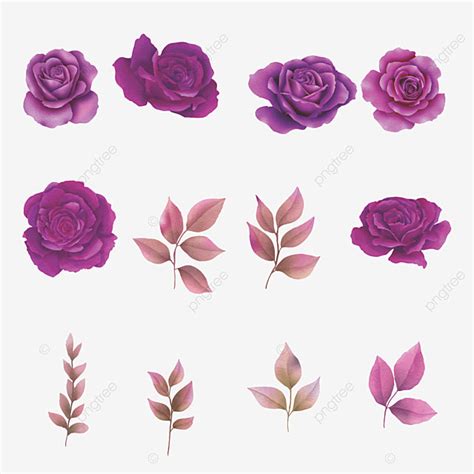 Purple Watercolor Roses Vector Hd Png Images Watercolor Purple Roses