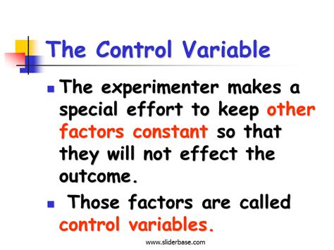 What Are The Variables In Your Experiment