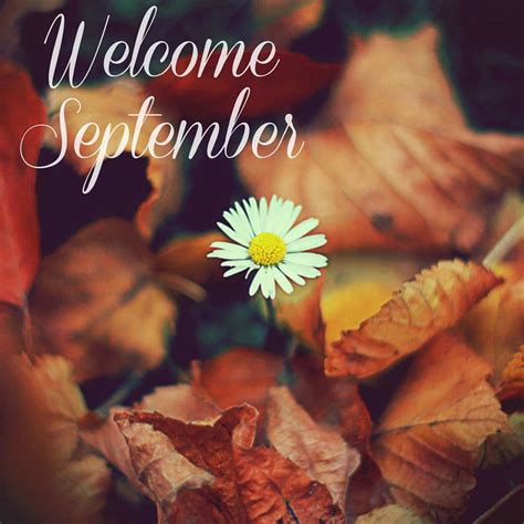 Welcome September Pictures Photos And Images For