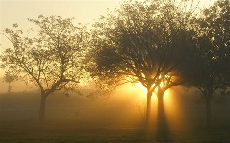 Landscape Nature Beautiful Look View Area Landsapes Sky