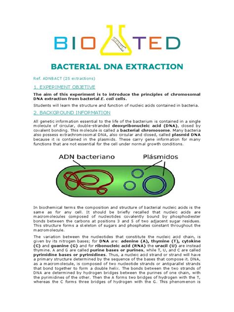 Bacterial Dna Extraction Eng Pdf Dna Nucleotides
