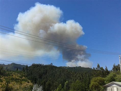 Un incendio forestal es el fuego que se extiende sin control en terreno forestal o silvestre, afectando a combustibles vegetales, flora y fauna. Prensa Curicó - Onemi declara alerta Roja para Vichuquén ...