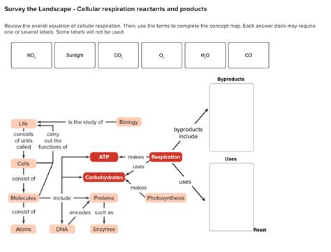 29 Concept Map Of Cellular Respiration Maps Online For You