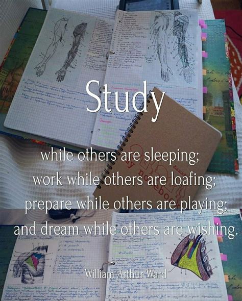 How to get the most out of your study hours? study while others are sleeping ★·.·´¯`·.·★ follow ...