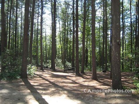 I'm planning on using this with my students when i want to work on mindfulness. Willard Brook State Forest - Campsite Photos, Reservations ...