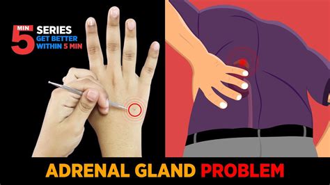 Sujok Treatment For Adrenal Gland Left Side Problem🙍🏻‍♂️🔥 Youtube