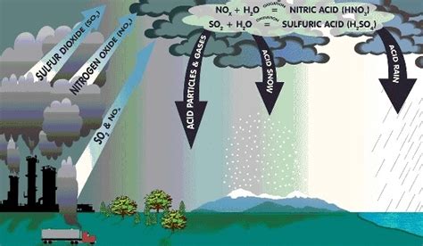 What Is Acid Rain Know Its Causes Effects Solutions Full Notes