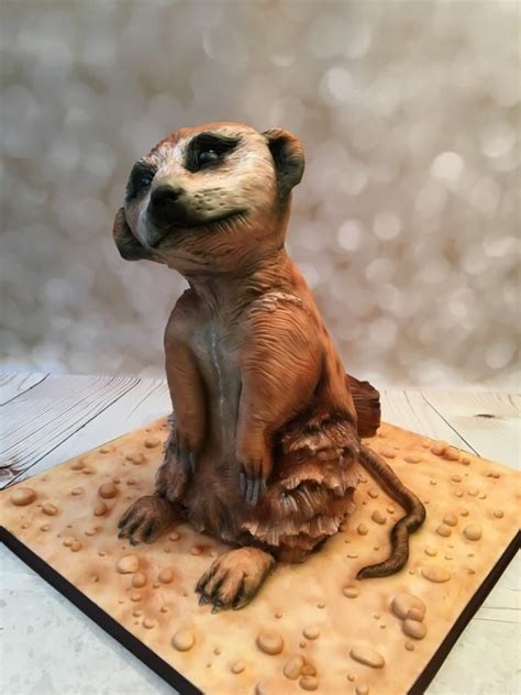 Meet The Meerkat Animal Cookies Animal Cakes Meerkat