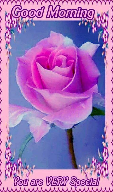Pretty Good Morning Pink Flower Pictures Photos And