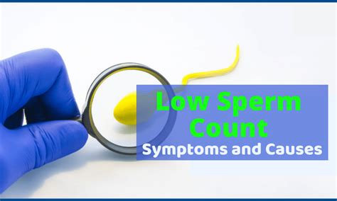 Low Sperm Count Symptoms And Causes Archives Best Ivf Service
