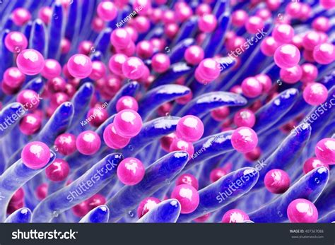 Bacteria Staphylococcus Nose 3d Illustration Showing стоковая