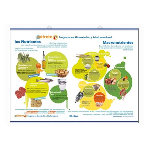 salud nutrientes macronutrientes micronutrientes minerales vitaminas