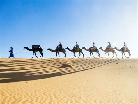 Riding Camelback A Sahara Desert Vacation Photos Condé Nast Traveler