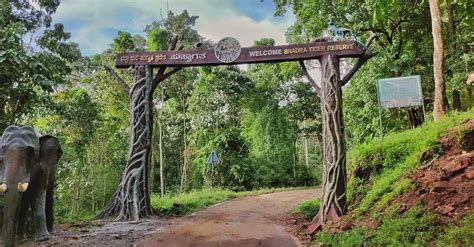 Bhadra Wildlife Sanctuary Top Wildlife Sanctuaries In Karnataka Top