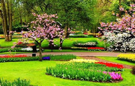 Gambar Taman Bunga Yang Indah Taman Indah Taman Bunga Gambar Bunga