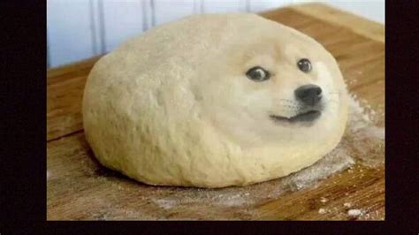Mentahan Doge Meme The Best Of Doge Barnorama The Wowest