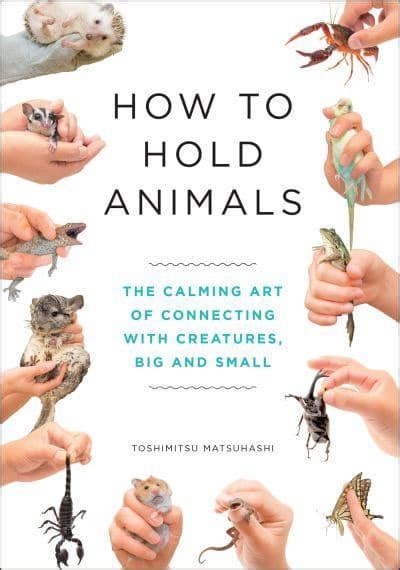 How To Hold Animals Toshimitsu Matsuhashi 9781529404531 Blackwells