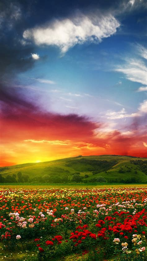 In 1980, indian government created the valley of flowers national park, and later in 2002, it was recognized as a unesco world heritage site. Wallpaper India, 5k, 4k wallpaper, Valley of Flowers ...