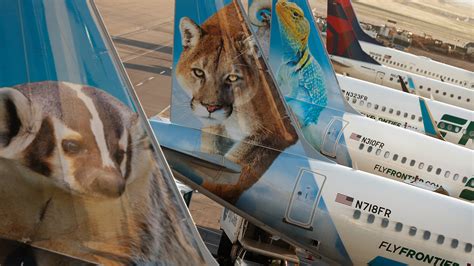 Frontier Airlines Ipo Signals A Travel Industry Recovery The New