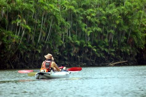 Amazon Sea Kayaking Adventure 8 Day Ecuador Kayaking Tour