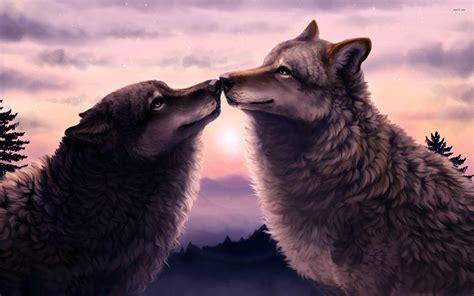 Wolf Love Wallpapers Wallpaper Cave