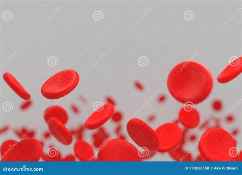 3d Rendering Of Erythrocyte Or Red Blood Corpuscle 3d Illustration Of