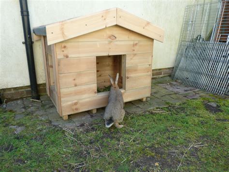 Outdoor Rabbit Shelter Outdoor Bunny Home Handmade Rabbit House By