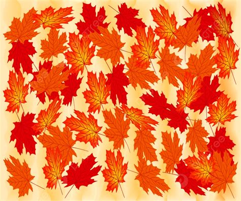 Background Daun Maple Musim Gugur Latar Belakang Merah Musiman