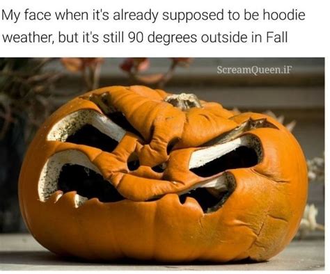 30 Fall Memes For The Autumn Obsessed Funny Fall Memes Artofit