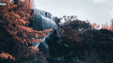 Waterfall River Cliff Water Stones Trees 4k Hd Wallpaper