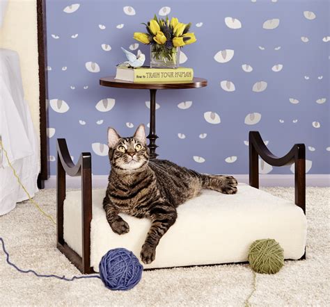 Cat Beds For Charity Stellar Interior Design