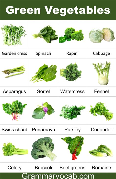 50 Green Leafy Vegetables Names In English With Pictures Grammarvocab