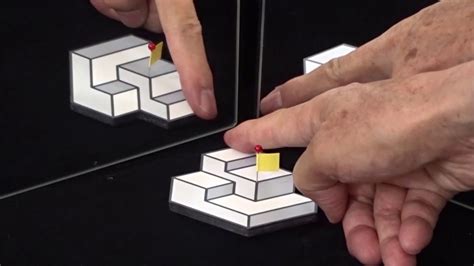 This Triply Ambiguous Object Won Japans Best Illusion Of The Year Contest