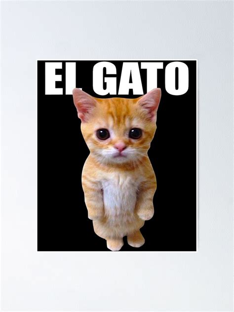 Poster El Gato Meme Chat Qui Pleure Triste Munchkin Kitty Meme Trendy