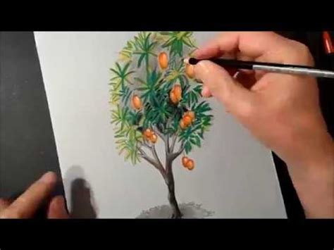How to draw a tree, 3d tree, mango tree, best fruit, gellous fruit, bangladeshi fruit, bn hyd. Drawing Tree, How to Draw 3D Mango Tree - YouTube