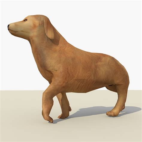 Watch 3d Animation Dogs Xxx For Free