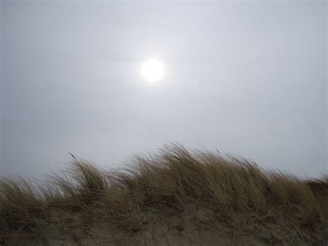 Free Images Sea Coast Nature Sand Horizon Cloud