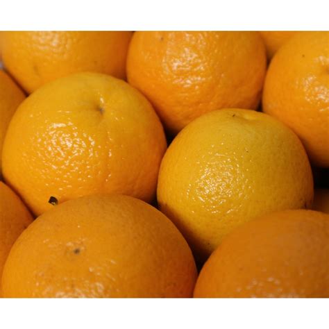 Orange à Jus 45 Kilos