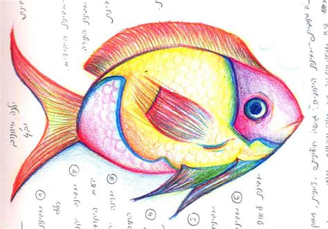 Pencil Colored Fish By Elenoosh On Deviantart