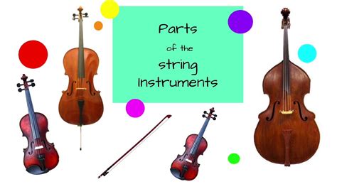 Parts Of The String Instruments Youtube