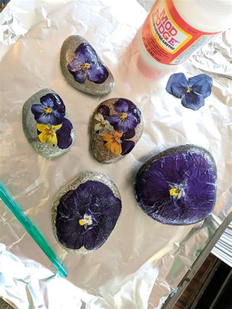 We did not find results for: can you use mod podge on pressed flowers - Google Search ...