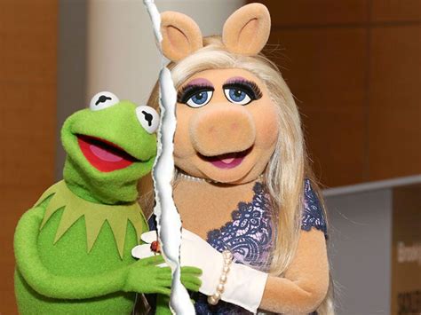 Kermit And Miss Piggy Das Ist Der Wahre Trennungsgrund