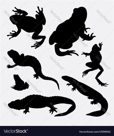 Frog Amphibian And Reptilian Animal Silhouette Vector Image