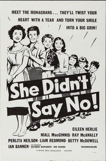 She Didnt Say No One Sheet Movie Posters Limited Runs