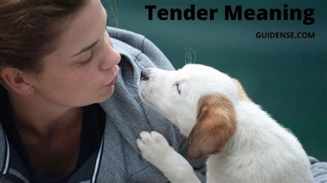 Tender Meaning Guidense