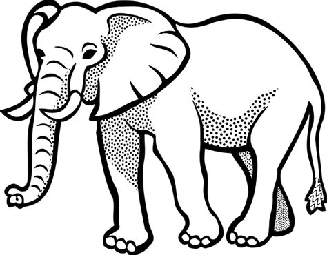 Elephant Animal Safari Free Vector Graphic On Pixabay