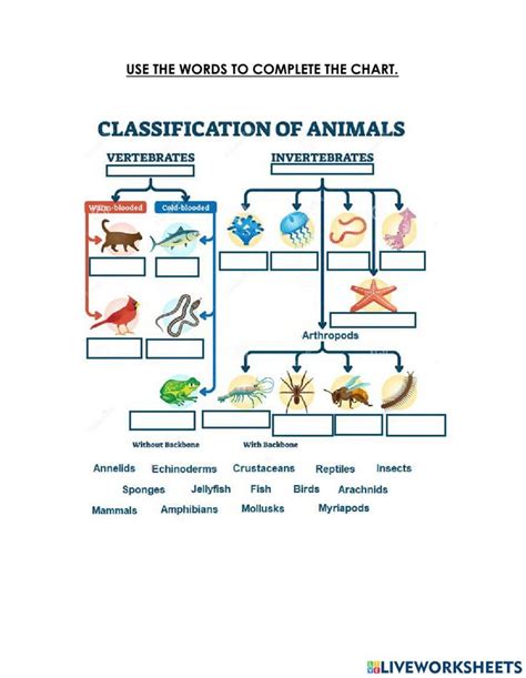 Classification Of Animals Worksheet For Grade 4 Interactive