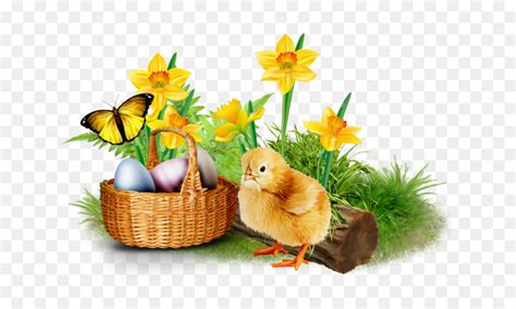 Easter Frame Free Download — Bright Fluffy Yellow Chicks — Картинки и