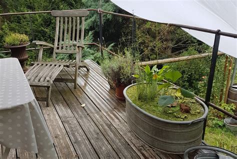 Nachhaltig gärtnern auf dem balkon nachhaltig auf dem balkon zu gärtnern, kann ganz schön herausfordernd sein. Ein Miniteich auf dem Balkon | Gartenteich Ratgeber